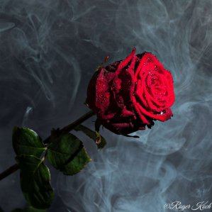 Red Naomi