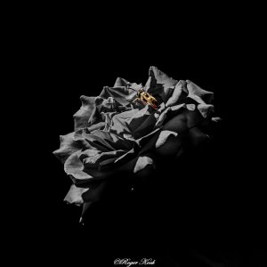 Blumen