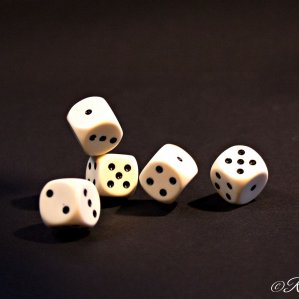 Die Würfel sind gefallen