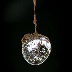 Ice drops