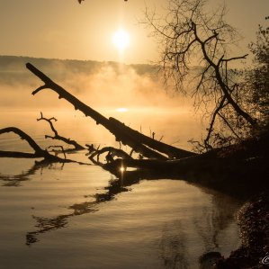 Herbstmorgen