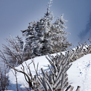Winter am Rigi