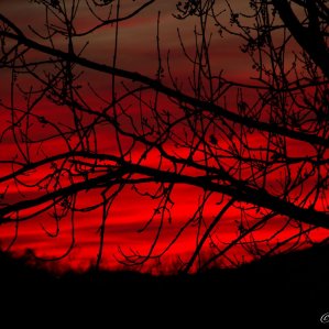Himmelsfeuer