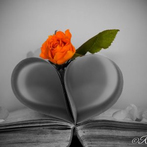 From my heart