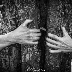 Torn